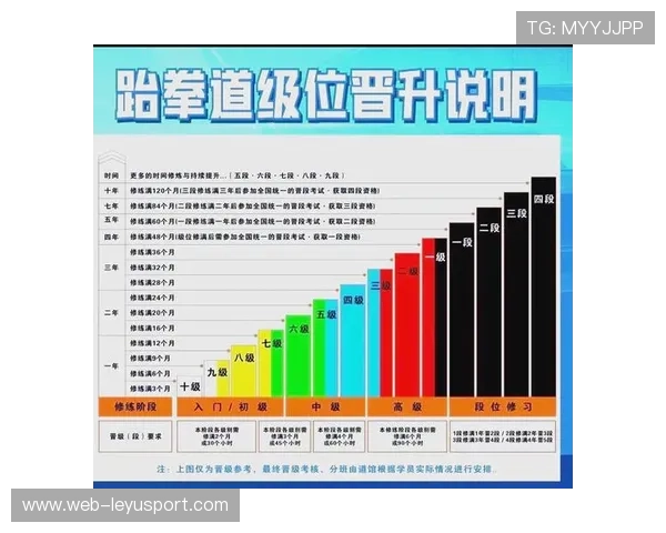 跆拳道学院完善青少年等级证书的互认与信息公示，跆拳道等级证书查询网