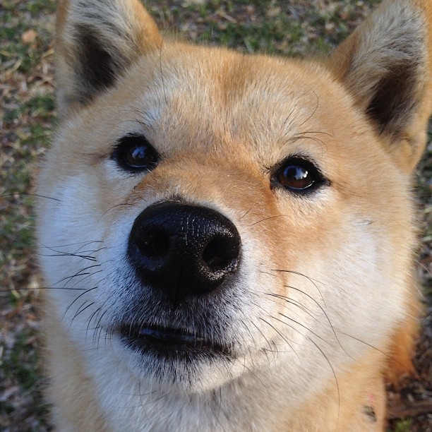 乐鱼体育app在线登录-英超青训体系融入心理压力管理提升技术动作稳定性，英超训练足球