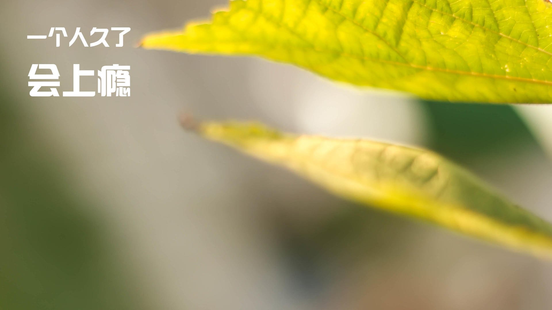 “沙滩手球：力量与技巧的完美结合”