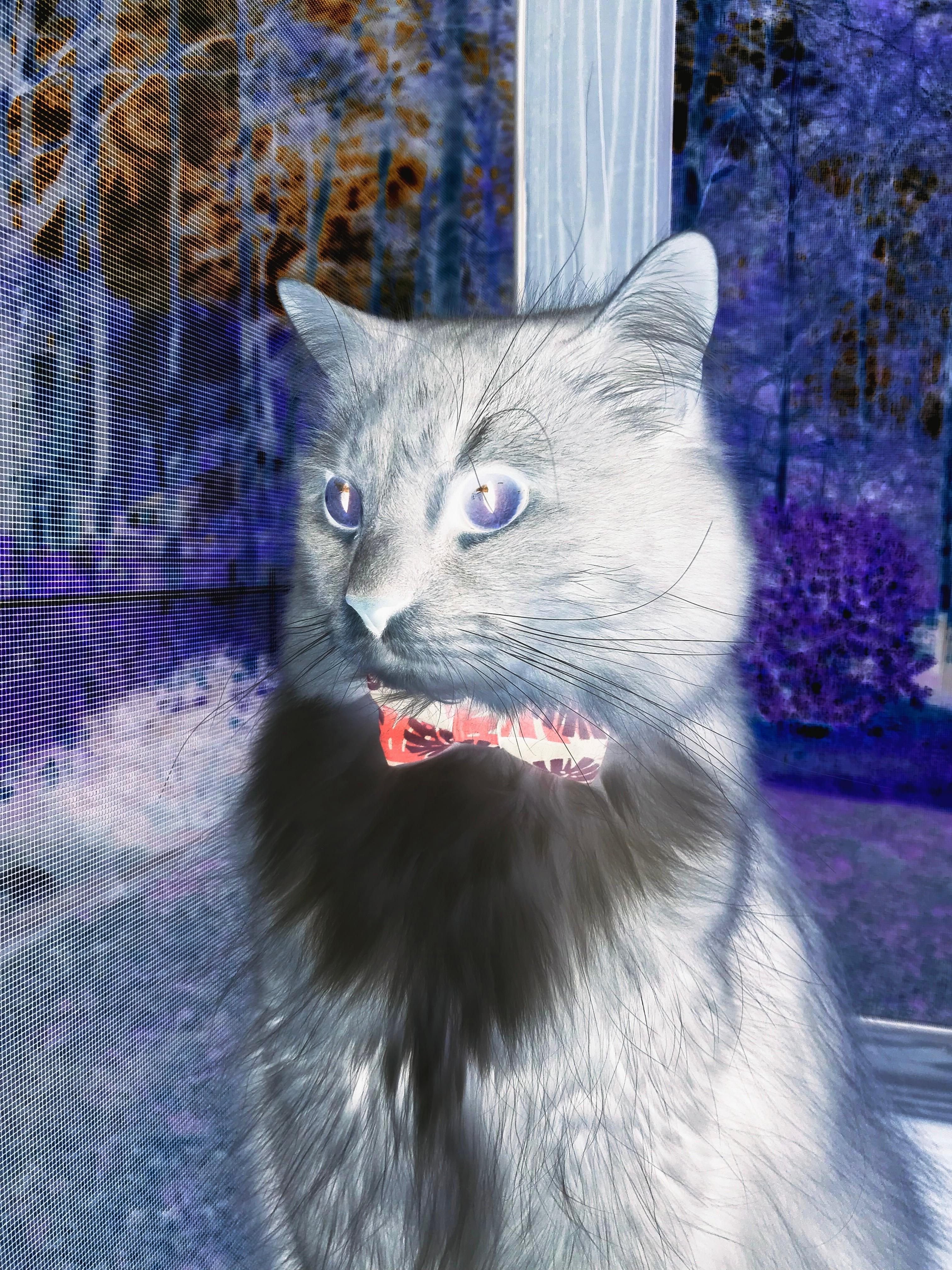 五大联赛是否在战术板中引入更多AI数据作为辅助，五大联赛指