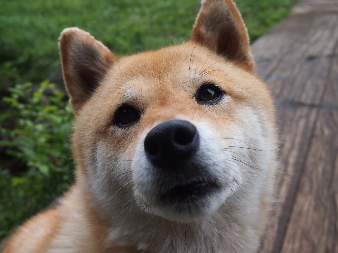 划频偏快是否削弱后程冲刺？，划幅和划频