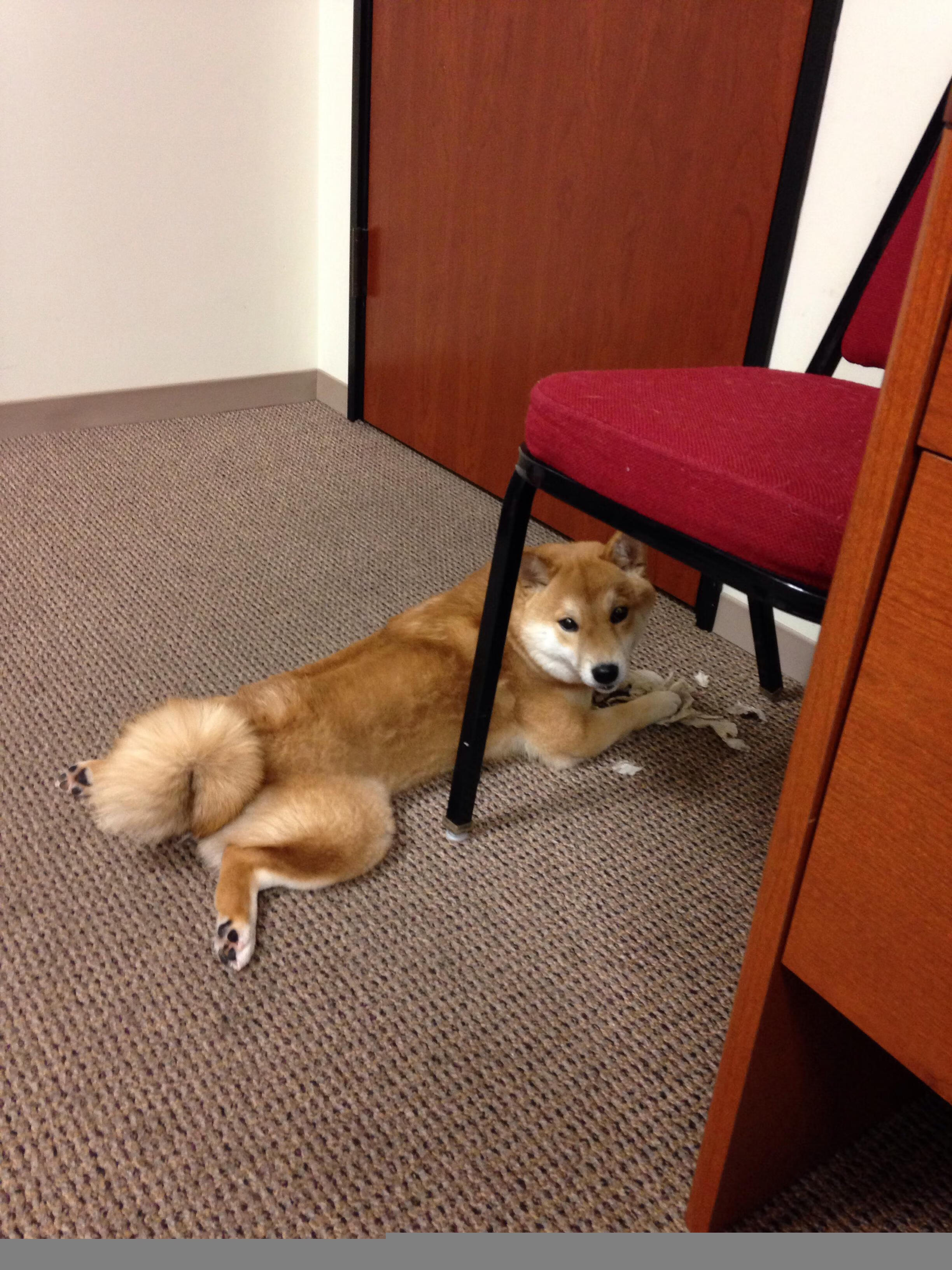 多特蒙德后场防线稳固保障零封，多特蒙德站位