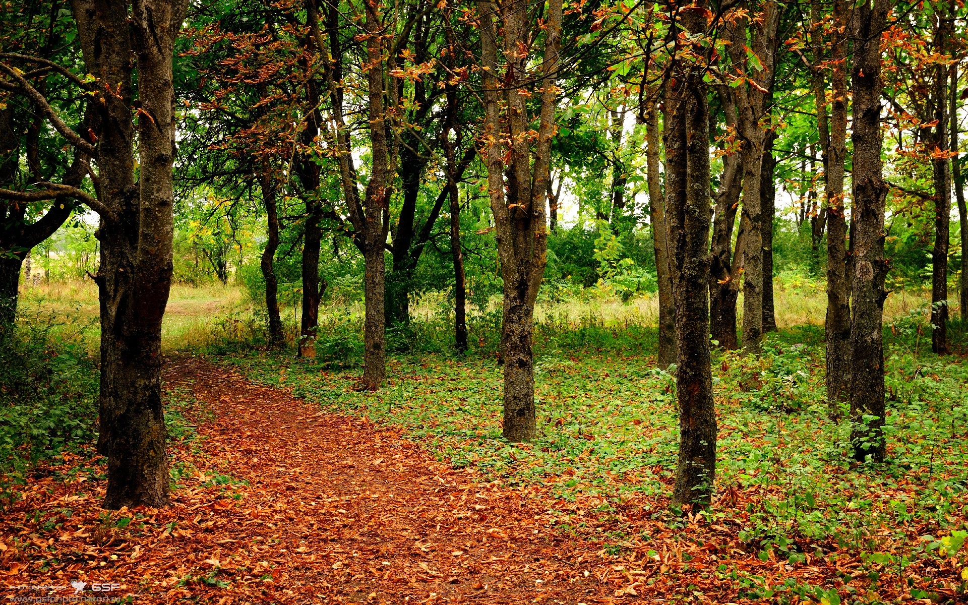 新加坡队的卓越表现:国际乒联混合团体世界杯赛场回顾,t2联赛2019新加坡乒乓球比赛视频