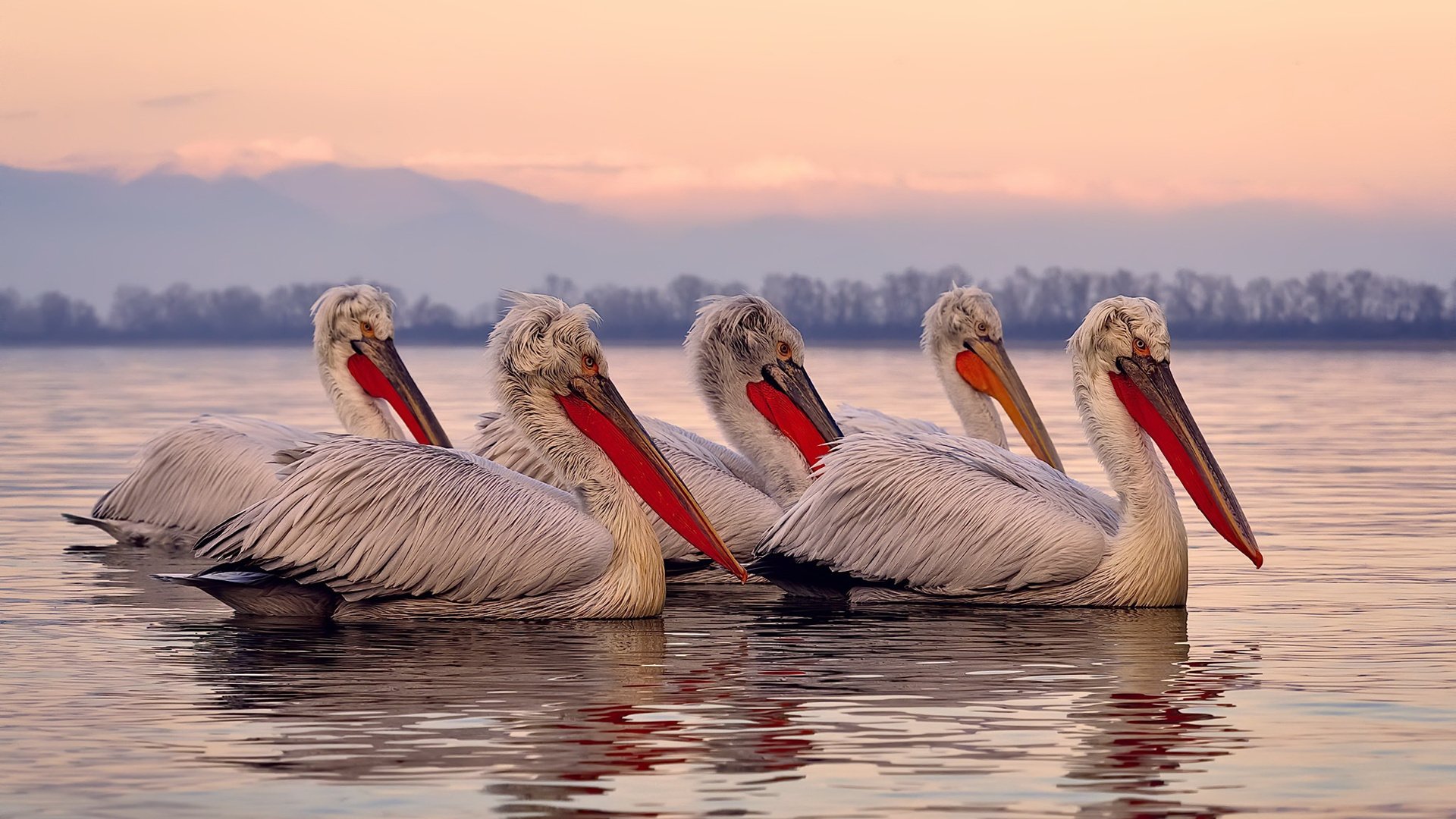 史密斯赛场表现获教练高度评价,史密斯比赛视频