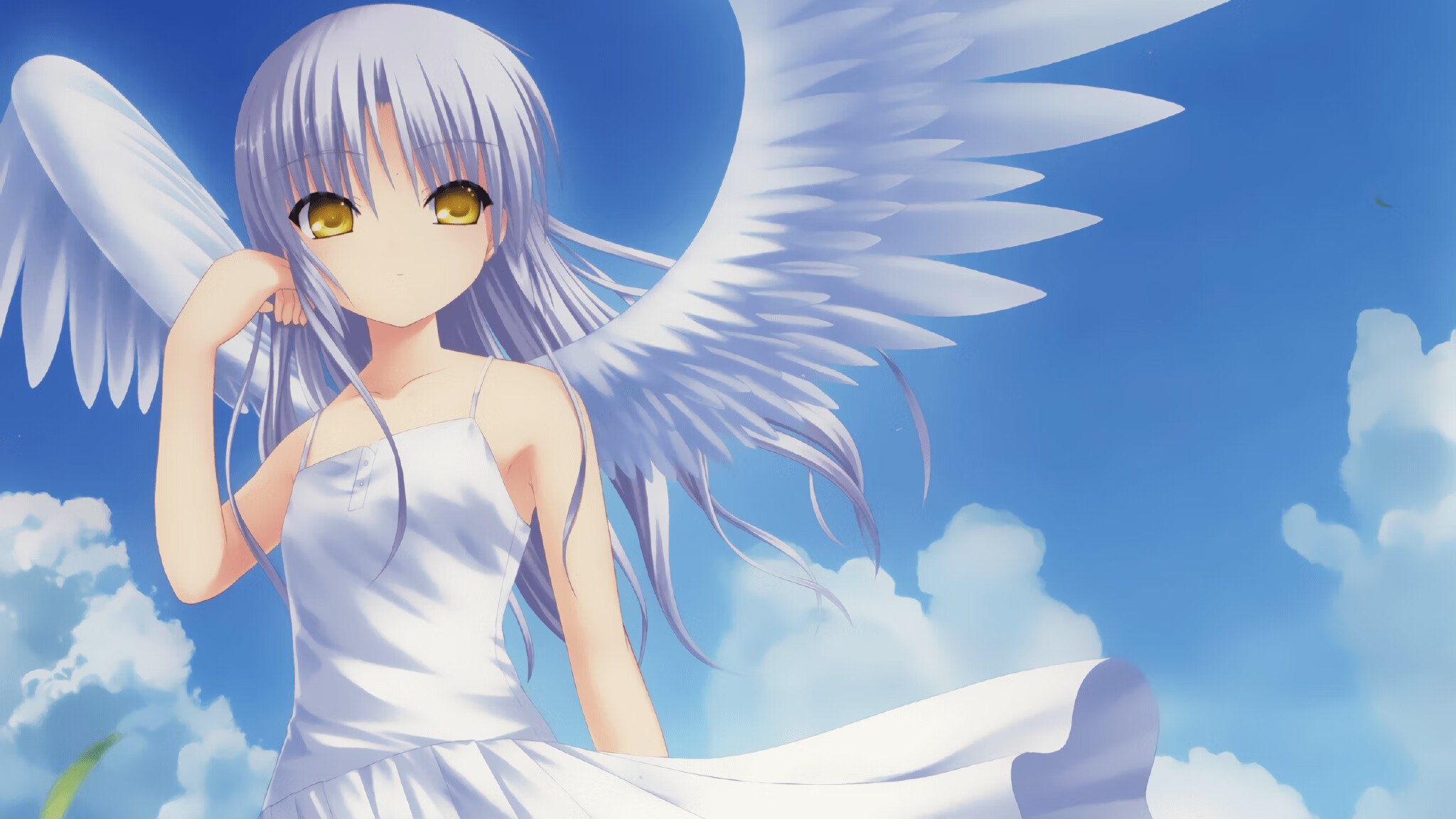 国家滑板队公布首次大型赛事举办计划，国家滑板队公布首次大型赛事举办计划