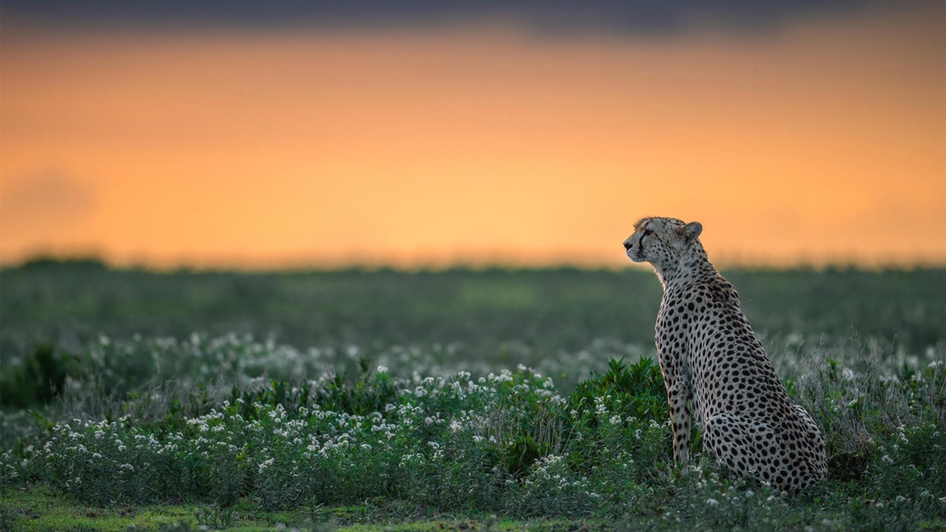 女篮青年队引进跨领域专家加强身体恢复指导，国家青年女子篮球队