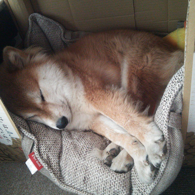 新闻中心公告体育发展重点县区名录及发展建议书，体育产业区域发展现状